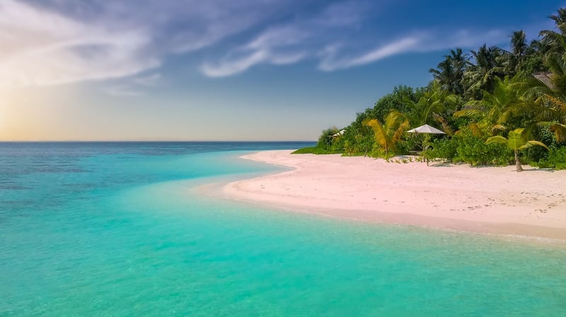 Summer Beach